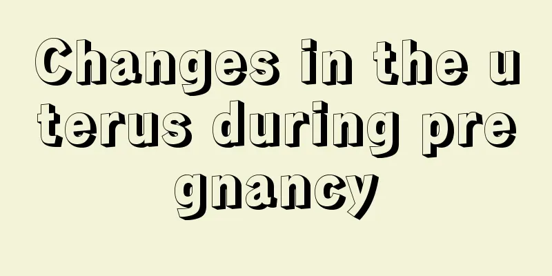 Changes in the uterus during pregnancy