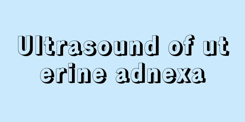 Ultrasound of uterine adnexa