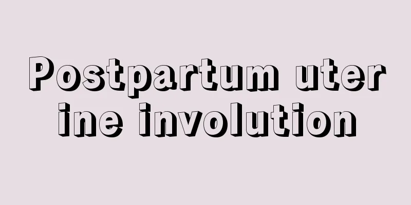 Postpartum uterine involution