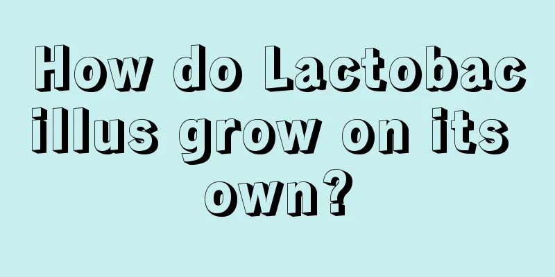 How do Lactobacillus grow on its own?