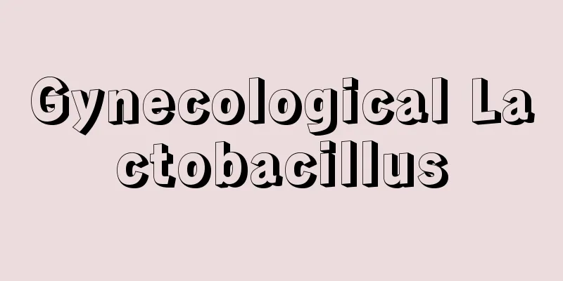 Gynecological Lactobacillus