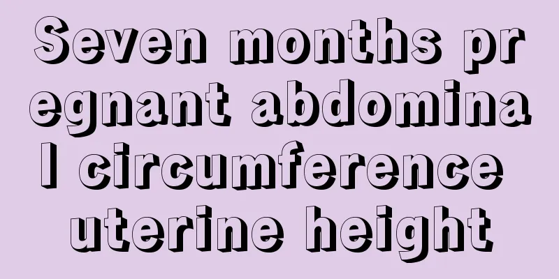 Seven months pregnant abdominal circumference uterine height