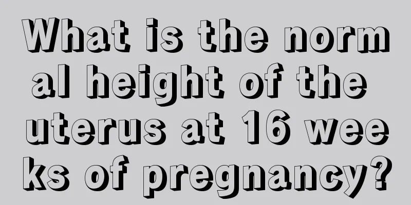 What is the normal height of the uterus at 16 weeks of pregnancy?