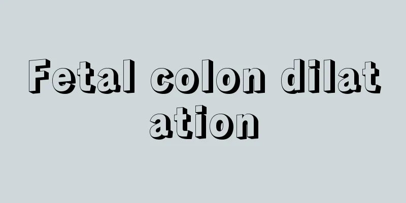 Fetal colon dilatation