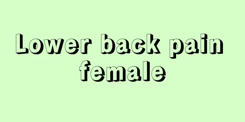 Lower back pain female