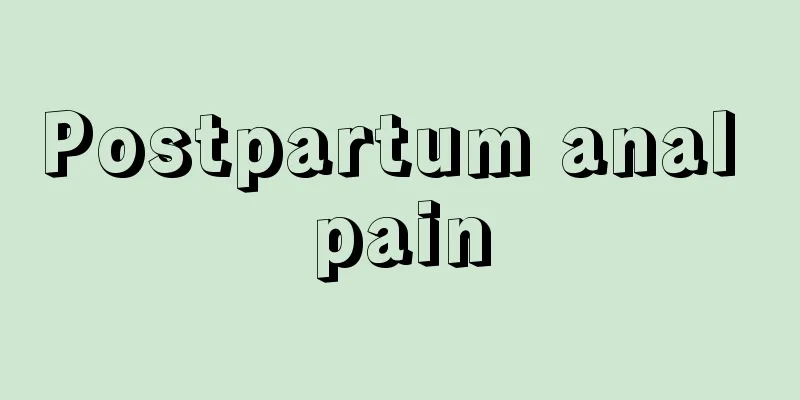 Postpartum anal pain