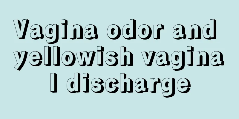 Vagina odor and yellowish vaginal discharge