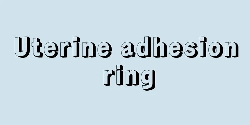 Uterine adhesion ring