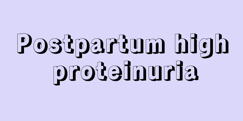 Postpartum high proteinuria