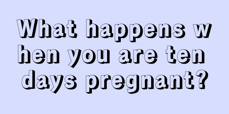 What happens when you are ten days pregnant?