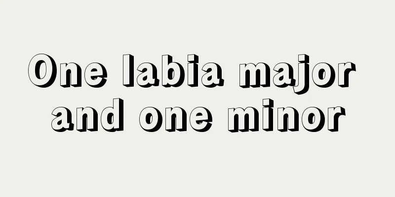 One labia major and one minor