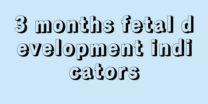 3 months fetal development indicators