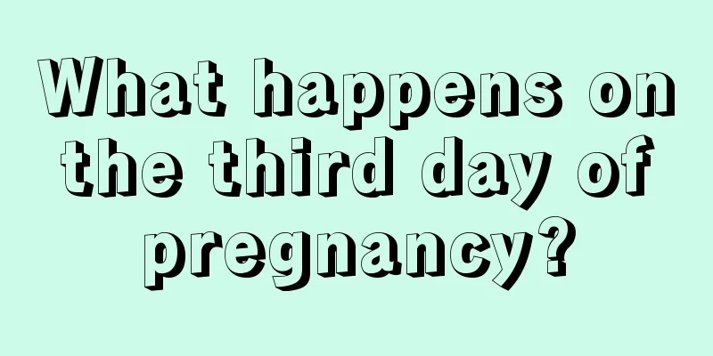 What happens on the third day of pregnancy?