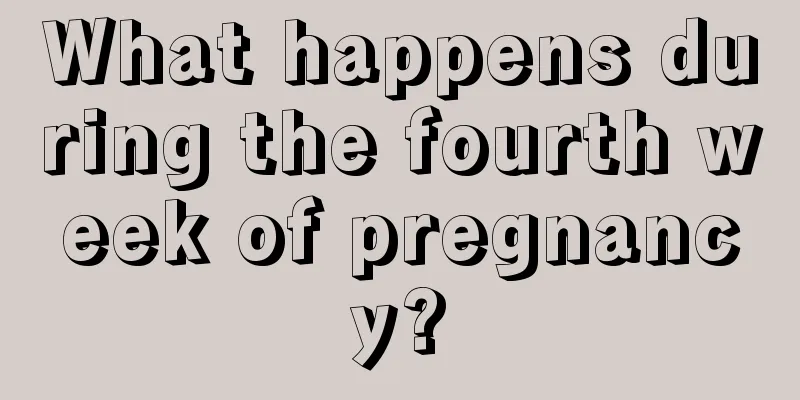 What happens during the fourth week of pregnancy?