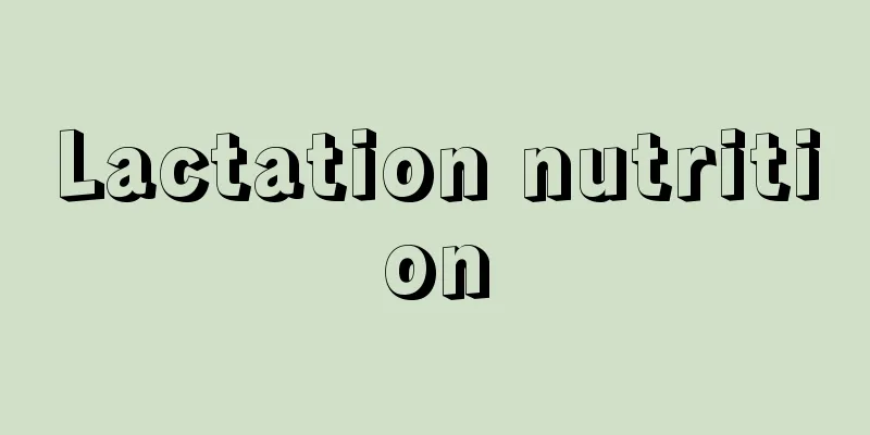 Lactation nutrition