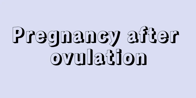 Pregnancy after ovulation