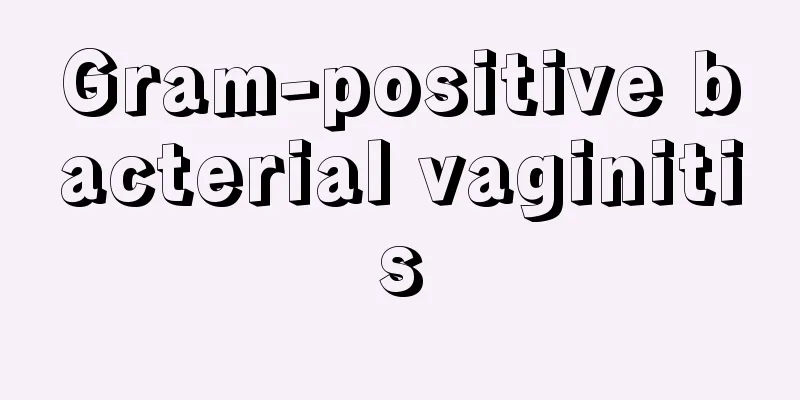 Gram-positive bacterial vaginitis