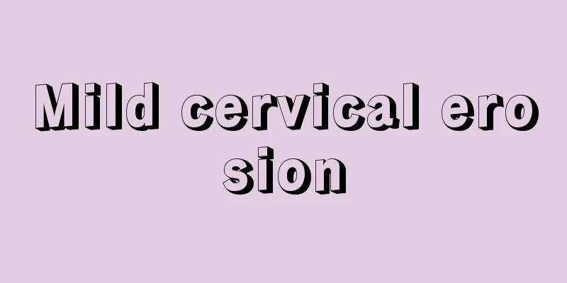 Mild cervical erosion