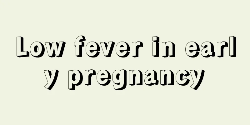 Low fever in early pregnancy