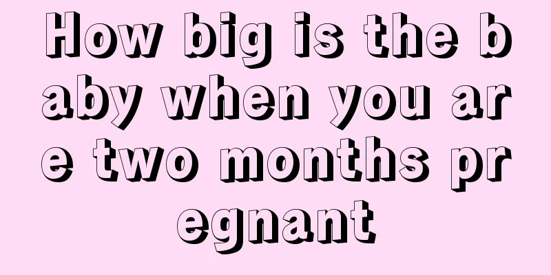 How big is the baby when you are two months pregnant