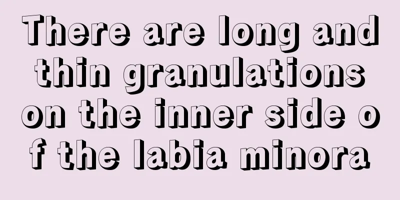 There are long and thin granulations on the inner side of the labia minora