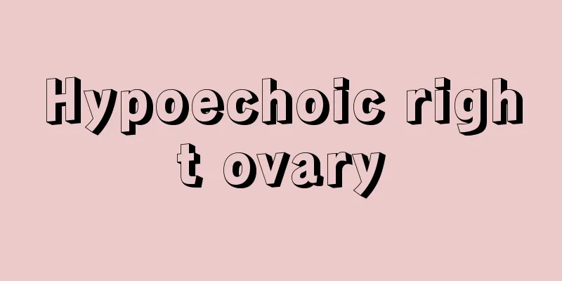 Hypoechoic right ovary