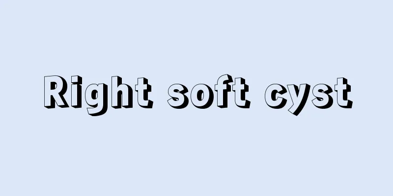 Right soft cyst