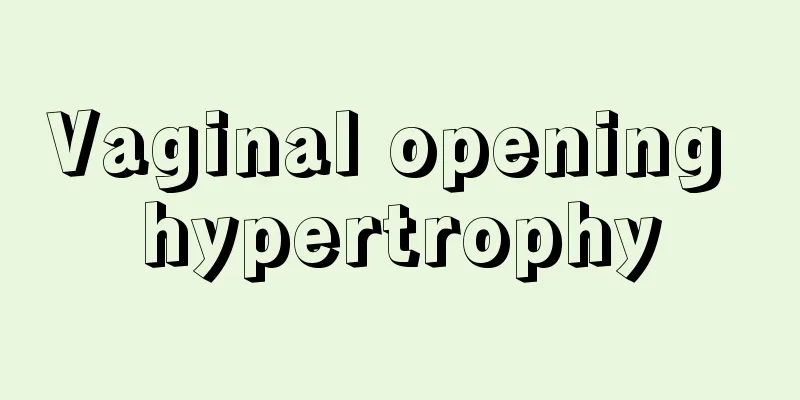 Vaginal opening hypertrophy