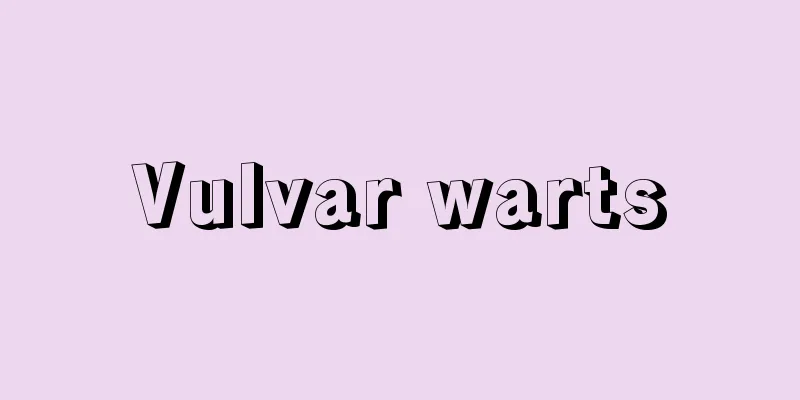 Vulvar warts