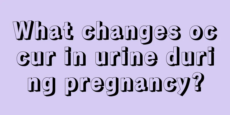 What changes occur in urine during pregnancy?