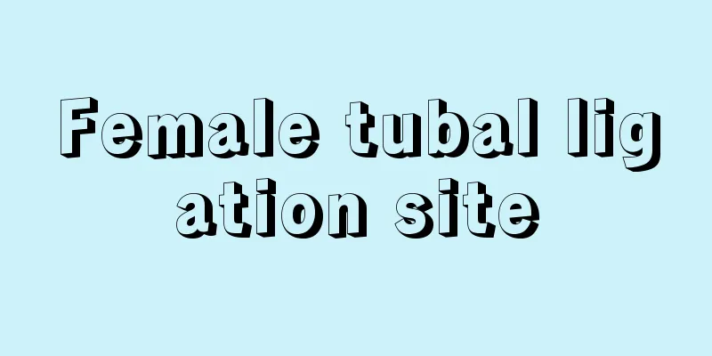 Female tubal ligation site