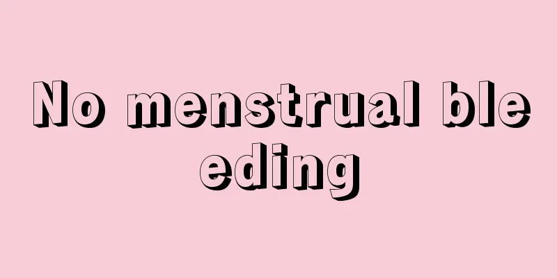 No menstrual bleeding