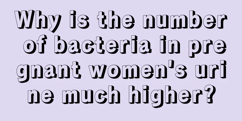 Why is the number of bacteria in pregnant women's urine much higher?