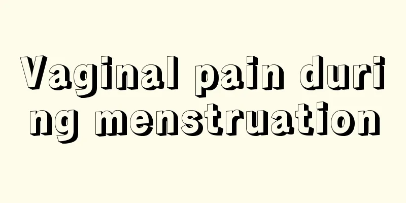 Vaginal pain during menstruation