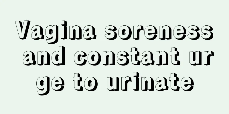 Vagina soreness and constant urge to urinate