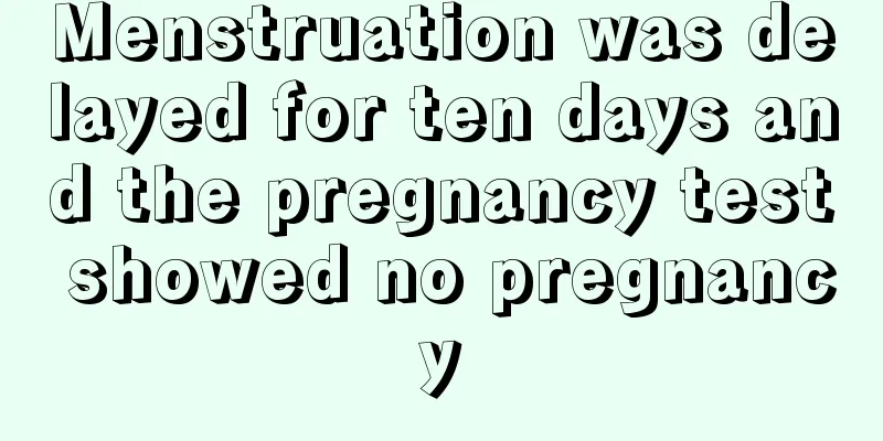 Menstruation was delayed for ten days and the pregnancy test showed no pregnancy