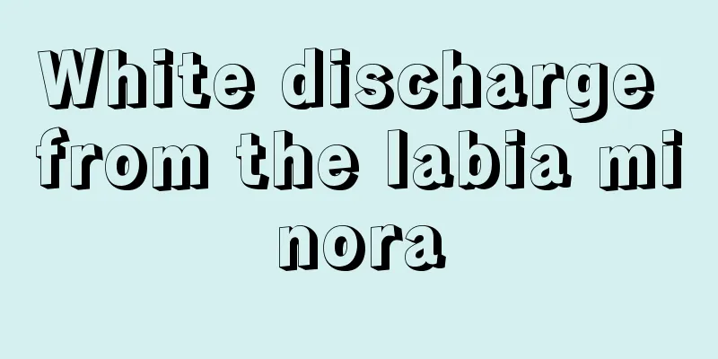 White discharge from the labia minora