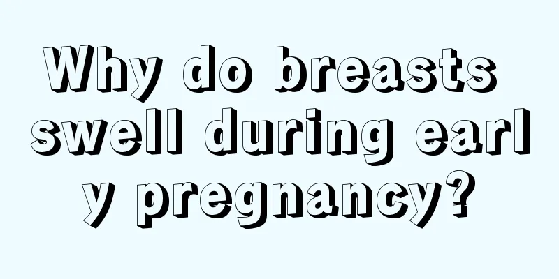 Why do breasts swell during early pregnancy?