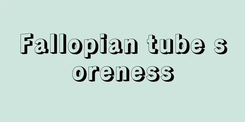 Fallopian tube soreness