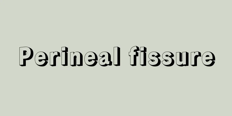 Perineal fissure