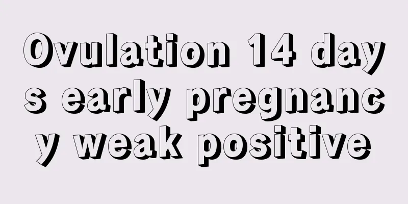 Ovulation 14 days early pregnancy weak positive