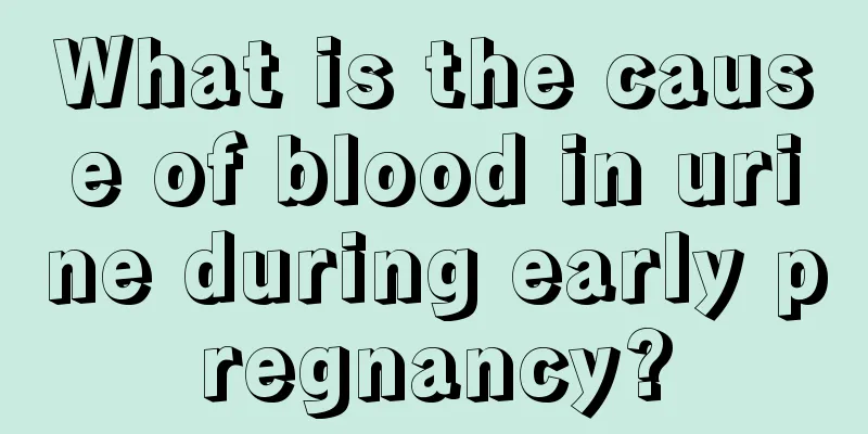 What is the cause of blood in urine during early pregnancy?