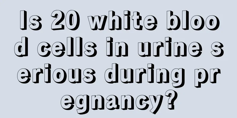 Is 20 white blood cells in urine serious during pregnancy?