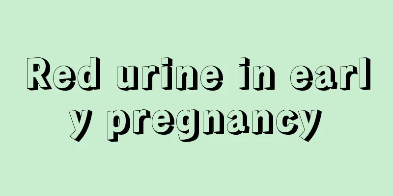 Red urine in early pregnancy