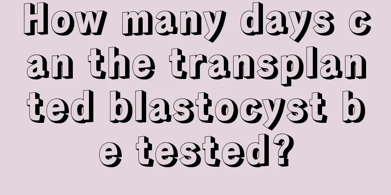 How many days can the transplanted blastocyst be tested?