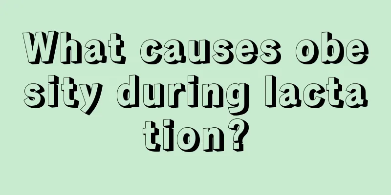 What causes obesity during lactation?