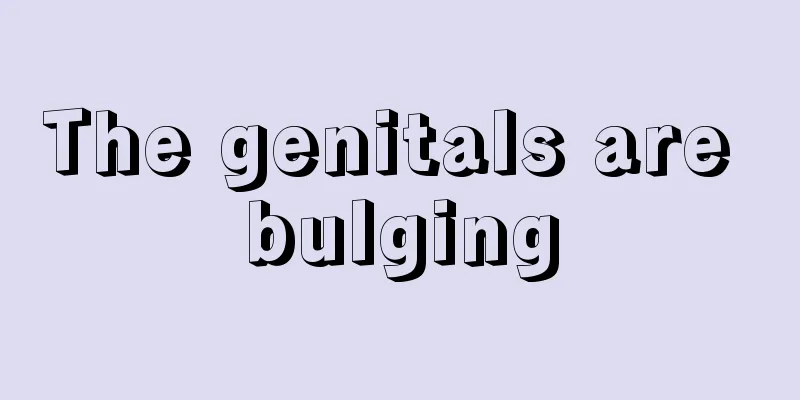 The genitals are bulging