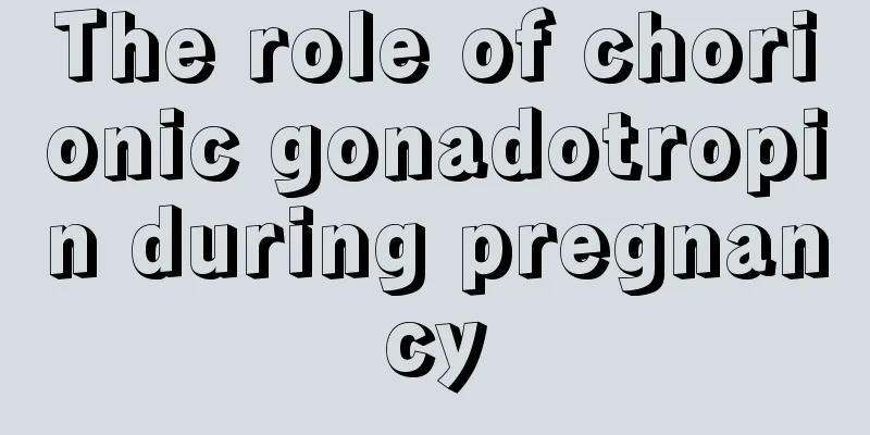 The role of chorionic gonadotropin during pregnancy