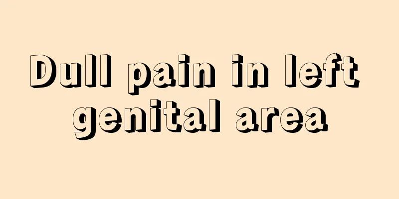 Dull pain in left genital area