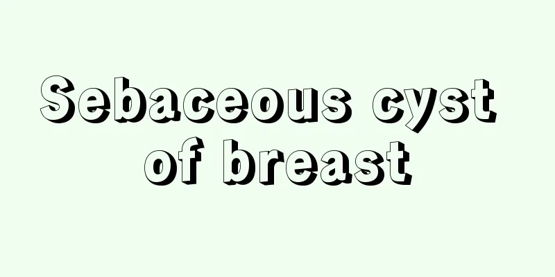 Sebaceous cyst of breast